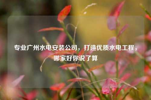 专业广州水电安装公司,打造优质水电工程,哪家好你说了算