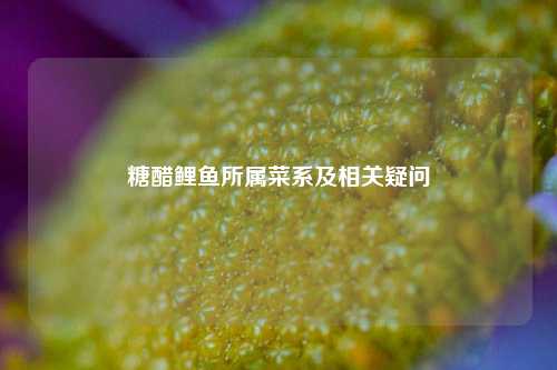 糖醋鲤鱼所属菜系及相关疑问