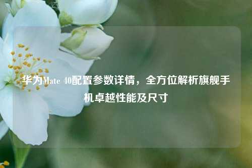 华为Mate 40配置参数详情,全方位解析旗舰手机卓越性能及尺寸