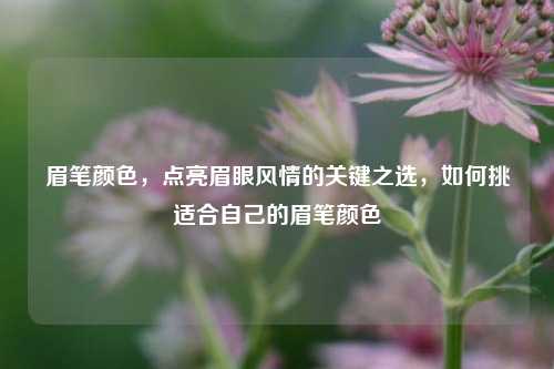 眉笔颜色,点亮眉眼风情的关键之选,如何挑适合自己的眉笔颜色