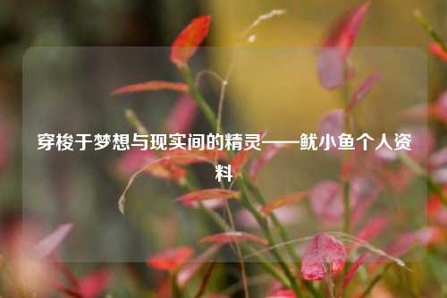 穿梭于梦想与现实间的精灵——鱿小鱼个人资料