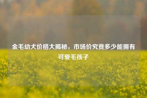 金毛幼犬价格大揭秘，市场价究竟多少能拥有可爱毛孩子