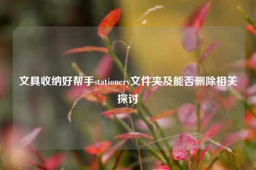 文具收纳好帮手stationery文件夹及能否删除相关探讨
