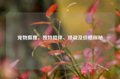 宠物狐狸，独特陪伴、挑战及价格探秘