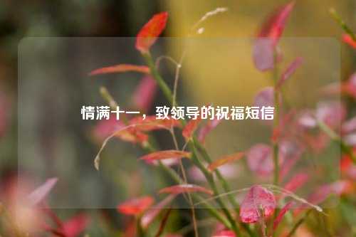 情满十一,致领导的祝福短信