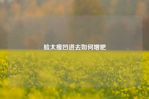 脸太瘦凹进去如何增肥