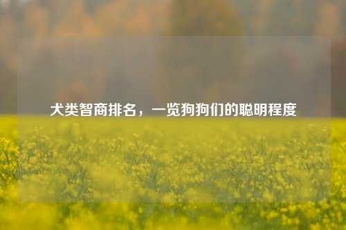 犬类智商排名,一览狗狗们的聪明程度