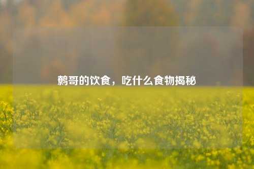 鹩哥的饮食，吃什么食物揭秘