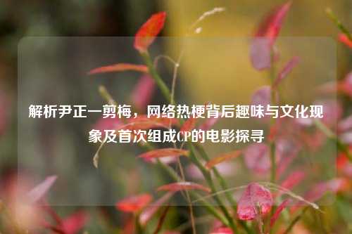 解析尹正一剪梅,网络热梗背后趣味与文化现象及首次组成CP的电影探寻