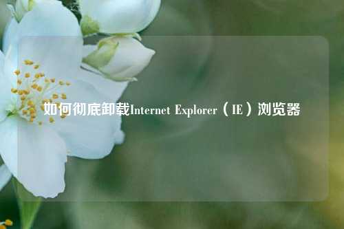 如何彻底卸载Internet Explorer(IE)浏览器