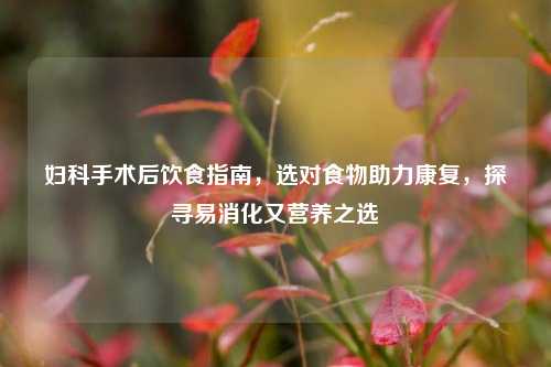 妇科手术后饮食指南,选对食物助力康复,探寻易消化又营养之选