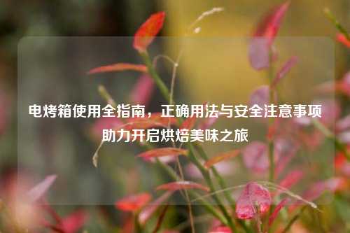 电烤箱使用全指南,正确用法与安全注意事项助力开启烘焙美味之旅