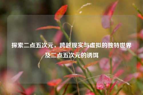 探索二点五次元,跨越现实与虚拟的独特世界及二点五次元的诱饵