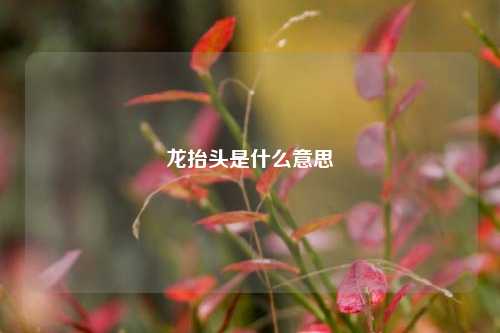 龙抬头是什么意思
