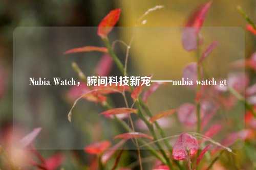 Nubia Watch，腕间科技新宠——nubia watch gt