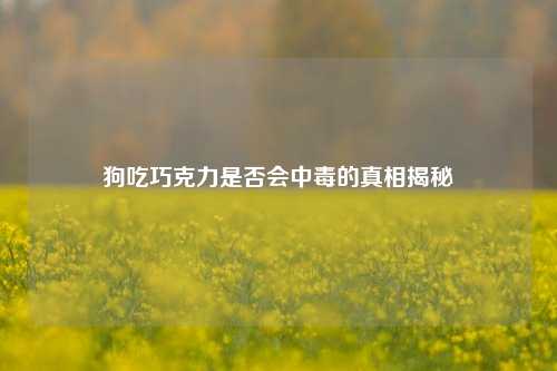 狗吃巧克力是否会中毒的真相揭秘