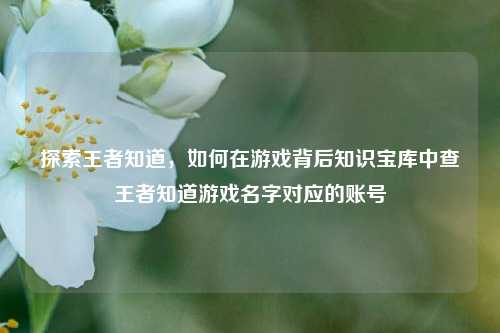 探索王者知道,如何在游戏背后知识宝库中查王者知道游戏名字对应的账号