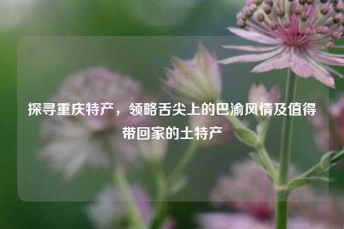 探寻重庆特产,领略舌尖上的巴渝风情及值得带回家的土特产