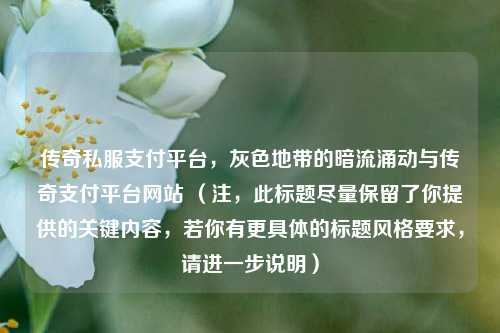 传奇私服支付平台，灰色地带的暗流涌动与传奇支付平台网站 （注，此标题尽量保留了你提供的关键内容，若你有更具体的标题风格要求，请进一步说明）