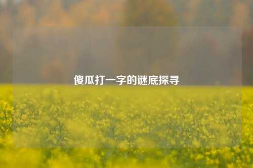 傻瓜打一字的谜底探寻