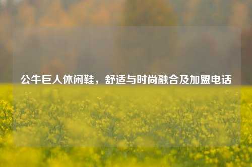 公牛巨人休闲鞋,舒适与时尚融合及加盟电话