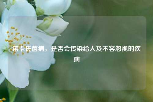 诺卡氏菌病,是否会传染给人及不容忽视的疾病