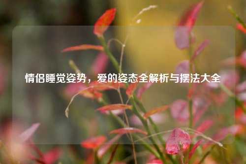 情侣睡觉姿势,爱的姿态全解析与摆法大全