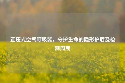 正压式空气呼吸器,守护生命的隐形护盾及检测周期