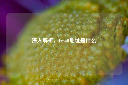 深入解析，Email地址是什么