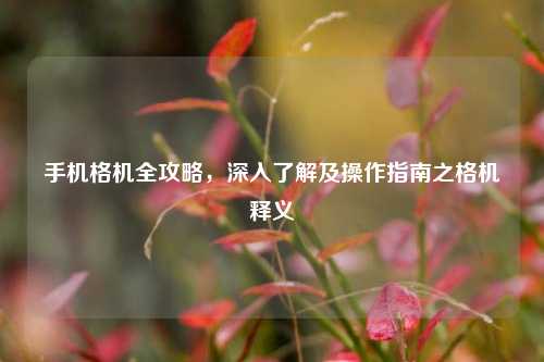 手机格机全攻略,深入了解及操作指南之格机释义