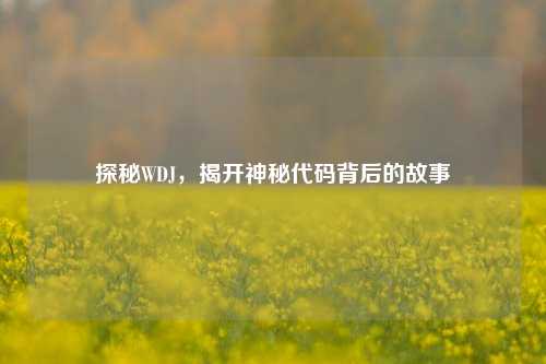 探秘WDJ，揭开神秘代码背后的故事