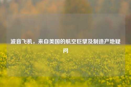 波音飞机,来自美国的航空巨擘及制造产地疑问