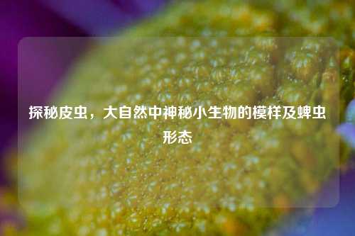 探秘皮虫,大自然中神秘小生物的模样及蜱虫形态