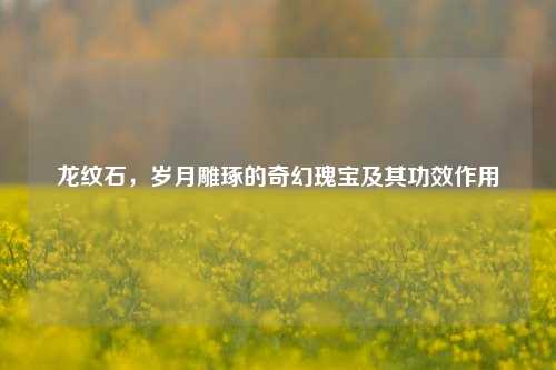龙纹石，岁月雕琢的奇幻瑰宝及其功效作用