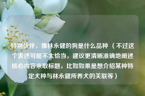 特别伙伴，像林永健的狗是什么品种 （不过这个表述可能不太恰当，建议更清晰准确地阐述核心内容来取标题，比如如果是想介绍某种特定犬种与林永健所养犬的关联等）