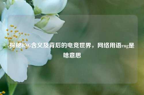 探秘RNG含义及背后的电竞世界,网络用语rng是啥意思