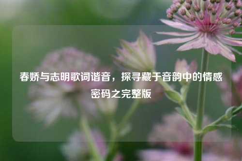春娇与志明歌词谐音,探寻藏于音韵中的情感密码之完整版