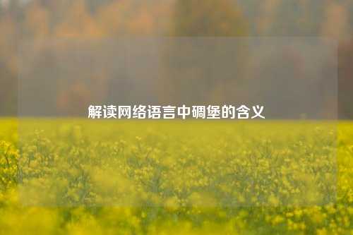 解读网络语言中碉堡的含义