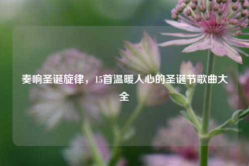 奏响圣诞旋律,15首温暖人心的圣诞节歌曲大全