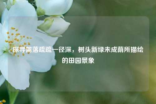 探寻篱落疏疏一径深,树头新绿未成荫所描绘的田园景象