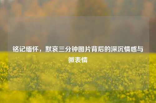 铭记缅怀,默哀三分钟图片背后的深沉情感与微表情