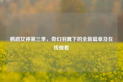 鹦鹉女神第三季，奇幻羽翼下的全新篇章及在线观看