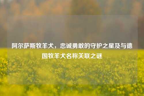 阿尔萨斯牧羊犬,忠诚勇敢的守护之星及与德国牧羊犬名称关联之谜