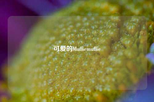 可爱的Muffiemuffie