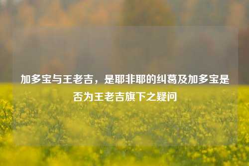 加多宝与王老吉,是耶非耶的纠葛及加多宝是否为王老吉旗下之疑问
