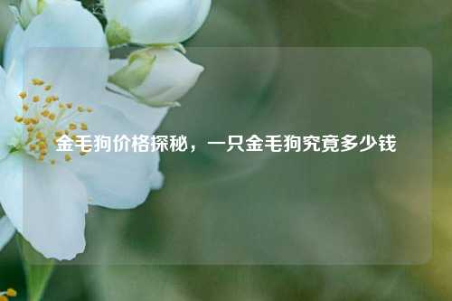 金毛狗价格探秘，一只金毛狗究竟多少钱
