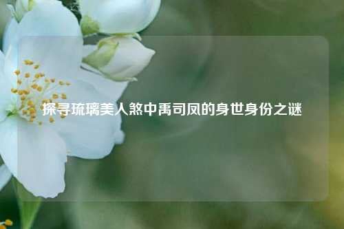 探寻琉璃美人煞中禹司凤的身世身份之谜