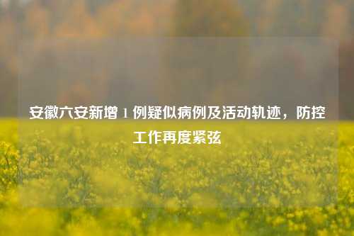 安徽六安新增 1 例疑似病例及活动轨迹，防控工作再度紧弦