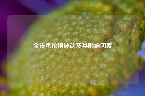 金钱龟价格波动及其影响因素
