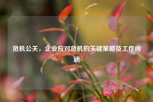危机公关，企业应对危机的关键策略及工作内涵